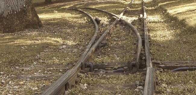 4. Cognitive Psychology - 認知心理学 -