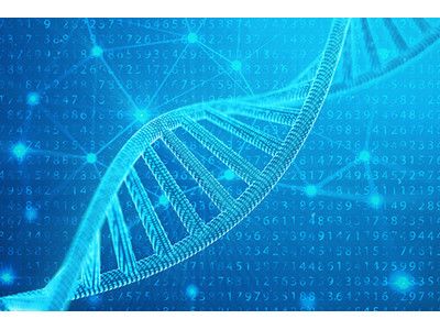 結果が出る理由 01 体質を科学した 「ゲノム式メソッド」を導入