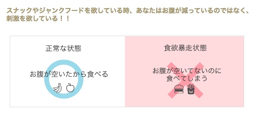 食欲の暴走を抑えない限り肥満は治らない！？
